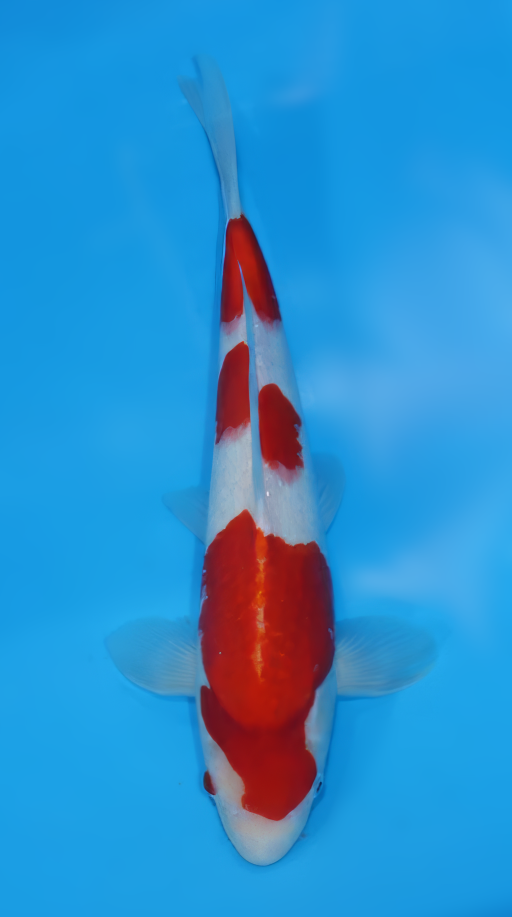 KSA10