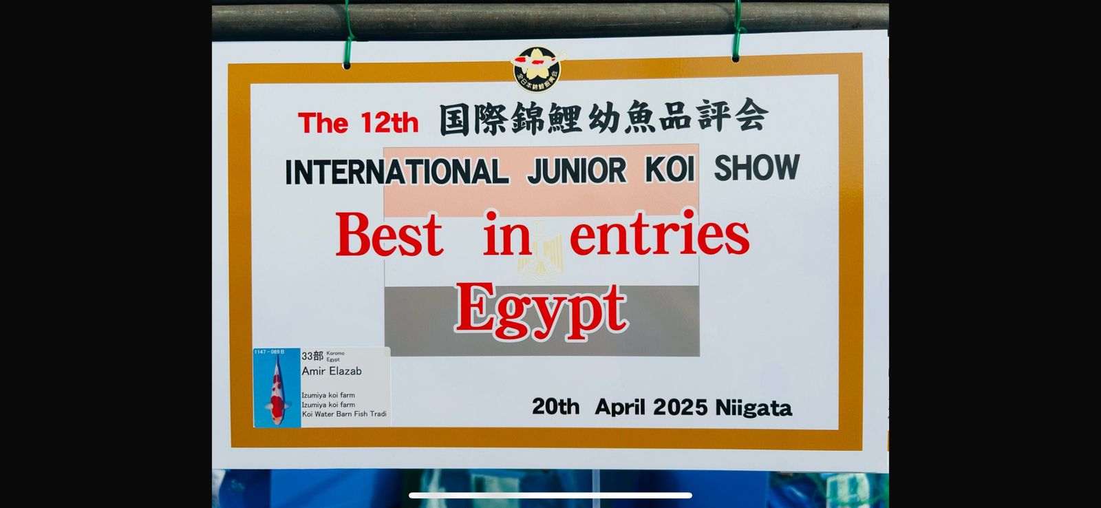 BEST IN ENTRY INTERNATIONAL JUNIOR KOI SHOW
